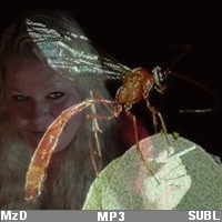 MzDominica - File Descriptions/MzDominica - File Descriptions/The Cell 9.jpg